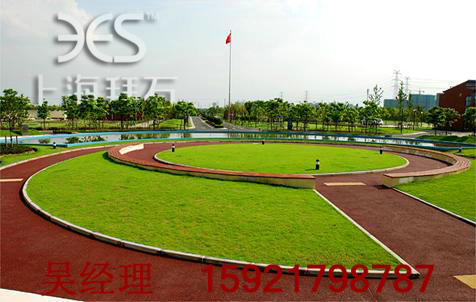 廣場-透水路面 廣場-透水路面