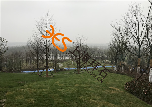 熒光陶粒路面.jpg 熒光陶粒路面.jpg