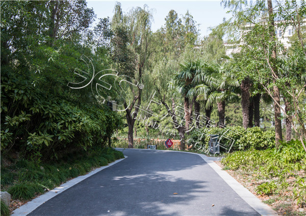 彩色防滑路面 彩色防滑路面