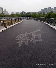 寧波綠島公園生態透水綠道工程