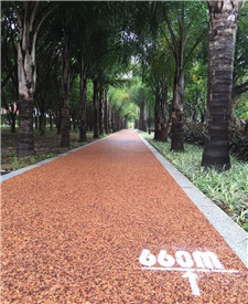 江蘇海鹽膠粘石透水混凝土！