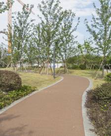 上海市奉賢區解放東路兩側綠地建設項目